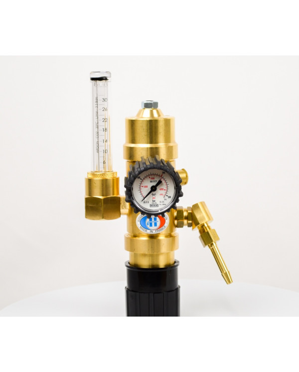 Integrated Pressure Regulator with Economizer (DEI)