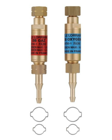 Paire de clapets ARPF CF – Protection et sécurité
